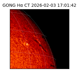 gong - 2026-02-03T17:01:42