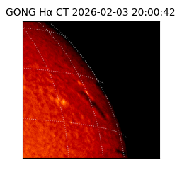 gong - 2026-02-03T20:00:42
