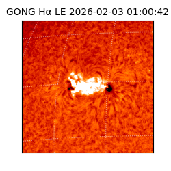 gong - 2026-02-03T01:00:42