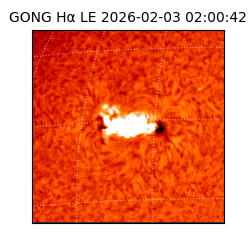 gong - 2026-02-03T02:00:42