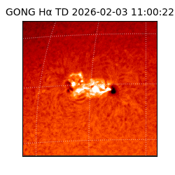 gong - 2026-02-03T11:00:22