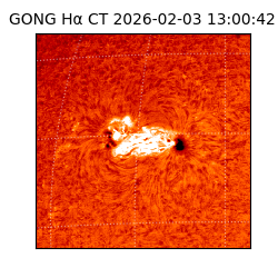 gong - 2026-02-03T13:00:42