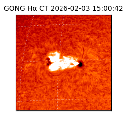 gong - 2026-02-03T15:00:42