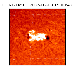 gong - 2026-02-03T19:00:42