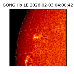 gong - 2026-02-03T04:00:42