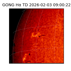 gong - 2026-02-03T09:00:22