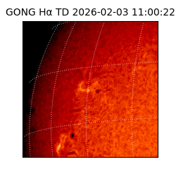 gong - 2026-02-03T11:00:22