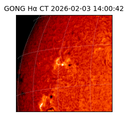 gong - 2026-02-03T14:00:42