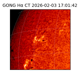 gong - 2026-02-03T17:01:42