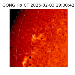 gong - 2026-02-03T19:00:42