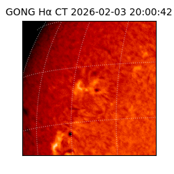 gong - 2026-02-03T20:00:42