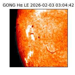 gong - 2026-02-03T03:04:42