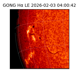 gong - 2026-02-03T04:00:42