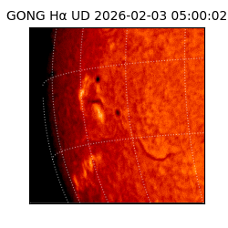 gong - 2026-02-03T05:00:02