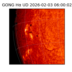 gong - 2026-02-03T06:00:02