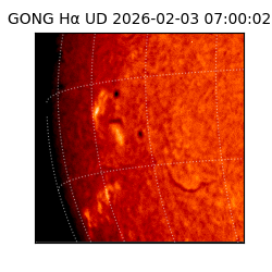 gong - 2026-02-03T07:00:02