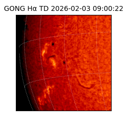 gong - 2026-02-03T09:00:22