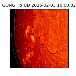gong - 2026-02-03T10:00:02