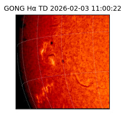 gong - 2026-02-03T11:00:22