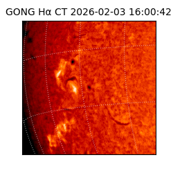 gong - 2026-02-03T16:00:42