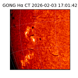 gong - 2026-02-03T17:01:42
