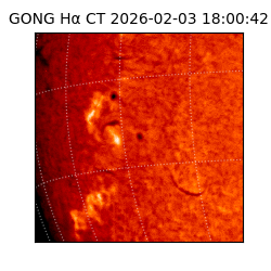 gong - 2026-02-03T18:00:42