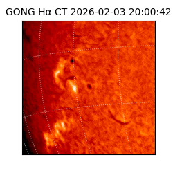 gong - 2026-02-03T20:00:42