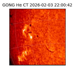 gong - 2026-02-03T22:00:42