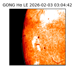 gong - 2026-02-03T03:04:42