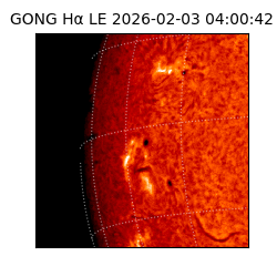 gong - 2026-02-03T04:00:42