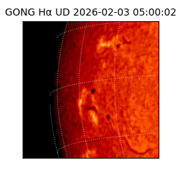 gong - 2026-02-03T05:00:02