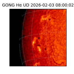 gong - 2026-02-03T08:00:02