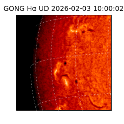 gong - 2026-02-03T10:00:02