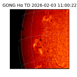 gong - 2026-02-03T11:00:22