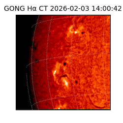 gong - 2026-02-03T14:00:42