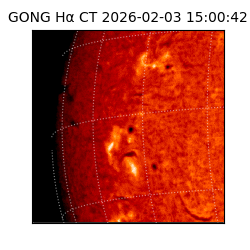 gong - 2026-02-03T15:00:42