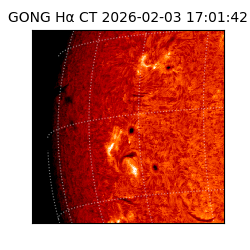 gong - 2026-02-03T17:01:42