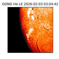 gong - 2026-02-03T03:04:42