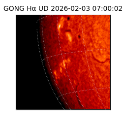gong - 2026-02-03T07:00:02
