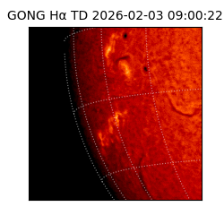 gong - 2026-02-03T09:00:22