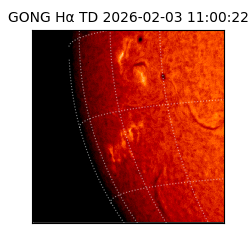 gong - 2026-02-03T11:00:22