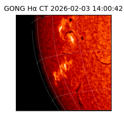 gong - 2026-02-03T14:00:42