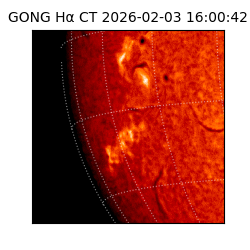 gong - 2026-02-03T16:00:42