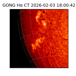 gong - 2026-02-03T18:00:42