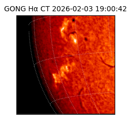 gong - 2026-02-03T19:00:42