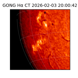gong - 2026-02-03T20:00:42