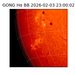 gong - 2026-02-03T23:00:02