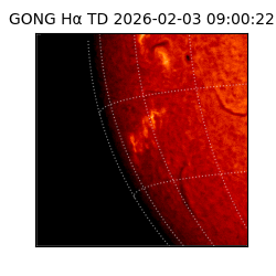 gong - 2026-02-03T09:00:22
