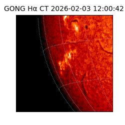 gong - 2026-02-03T12:00:42