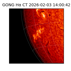 gong - 2026-02-03T14:00:42